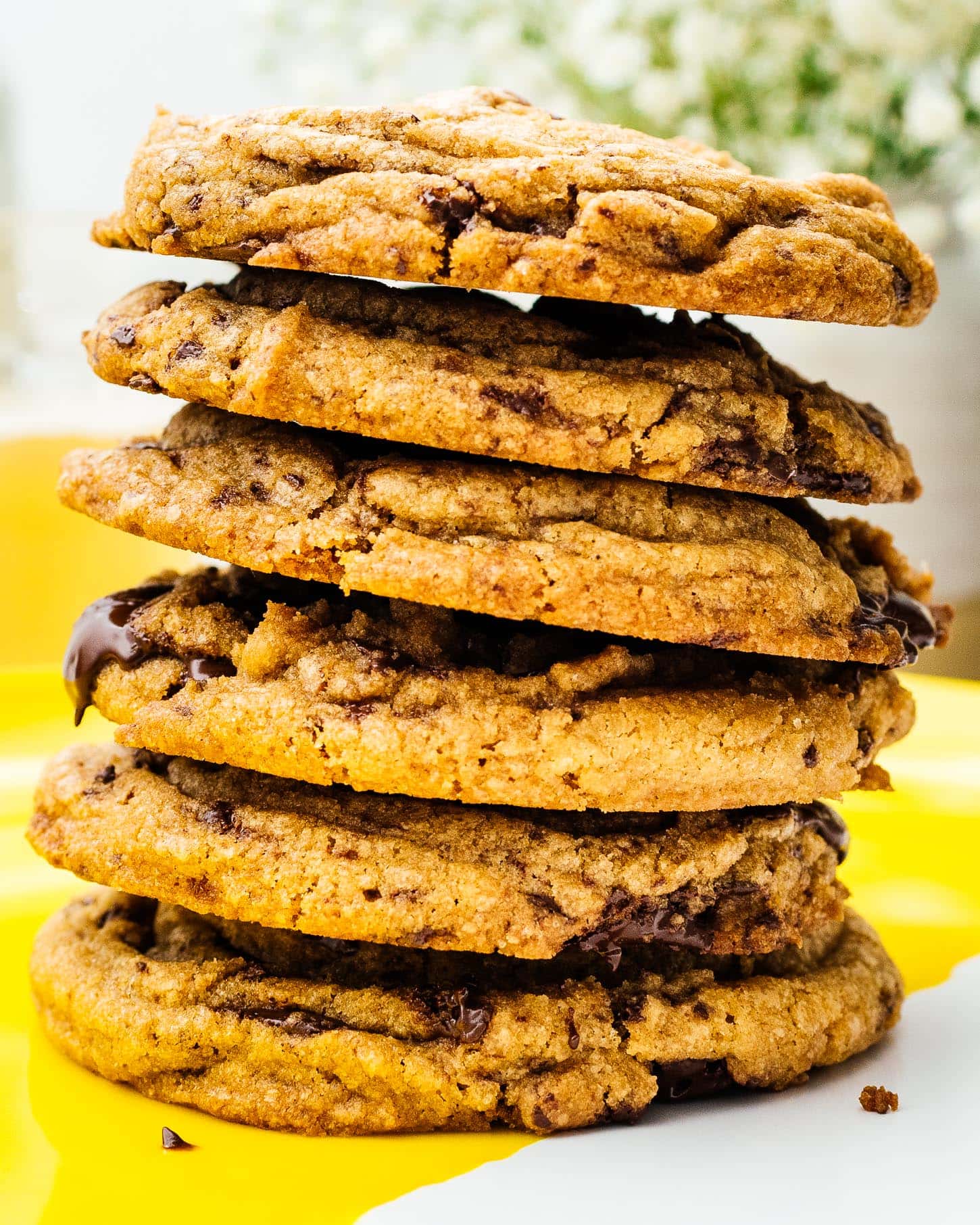 the best chocolate chip cookies | sharefavoritefood.com