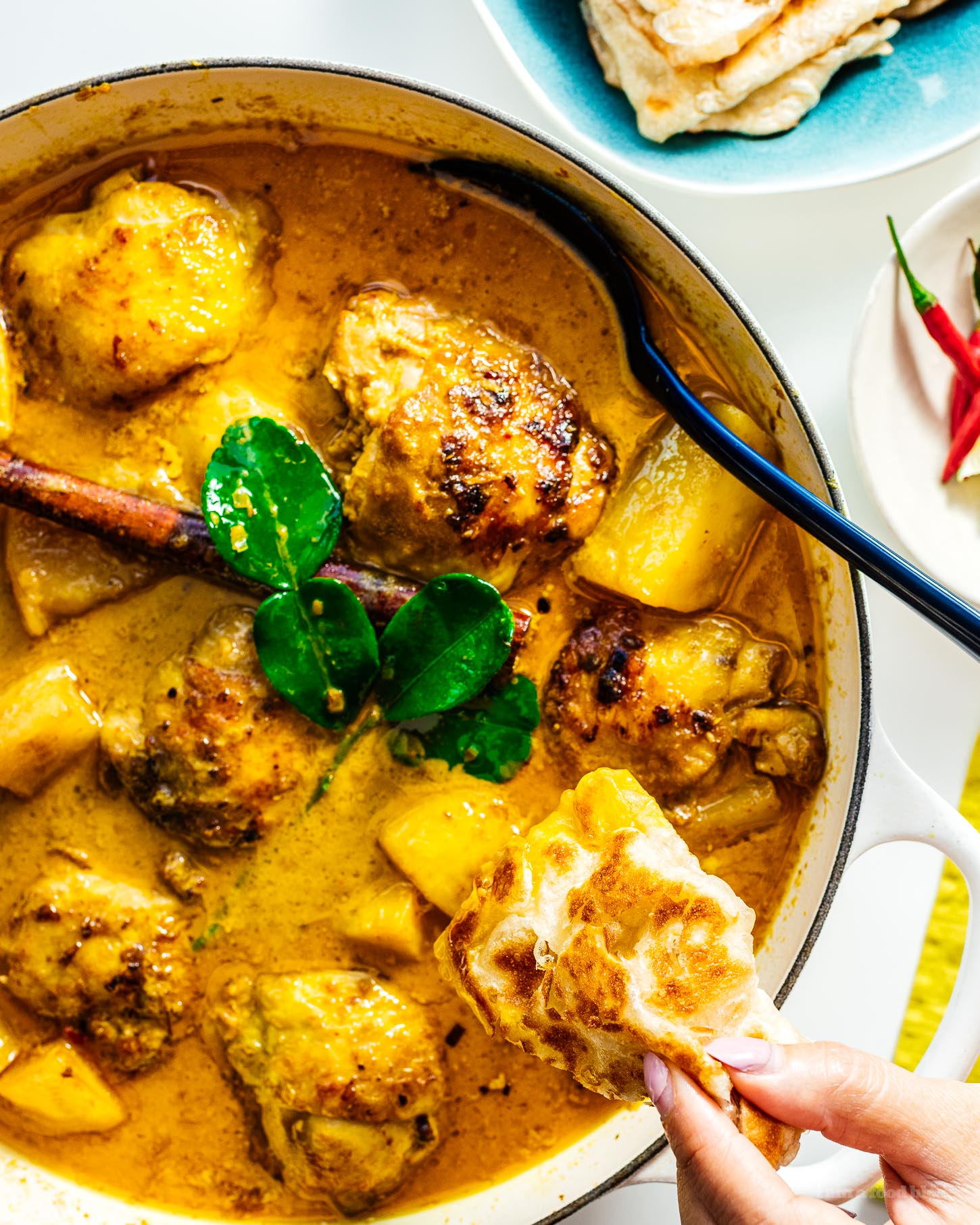 chicken curry with roti | sharefavoritefood.com