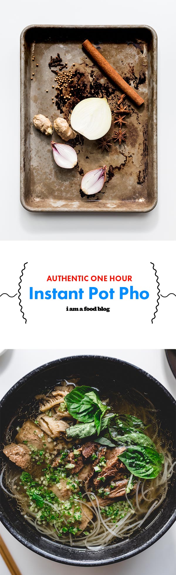 Authentic Instant Pot Pho Recipe - sharefavoritefood.com