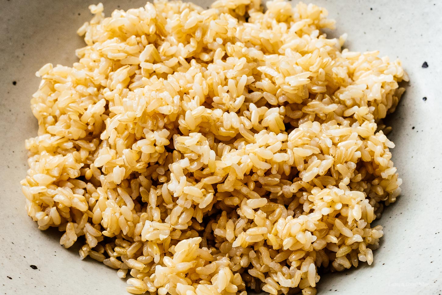 instant pot rice | sharefavoritefood.com